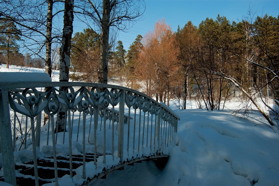 Фото жизнь