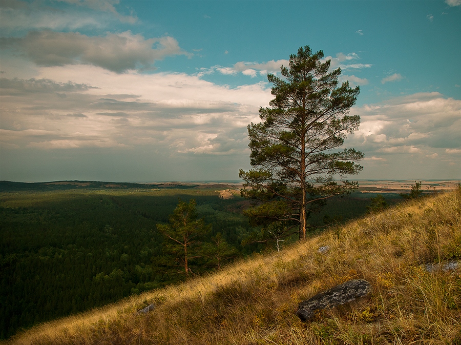 Фото жизнь