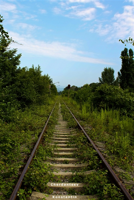 Фото жизнь