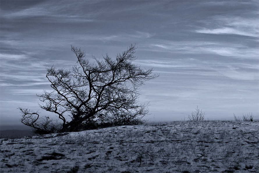 Фото жизнь (light) - mystera - Winter Landschaft. - ***