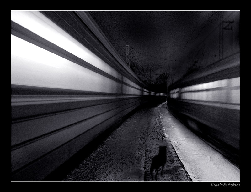 Фото жизнь (light) - Катерина Соболева - одиночество - поезда
