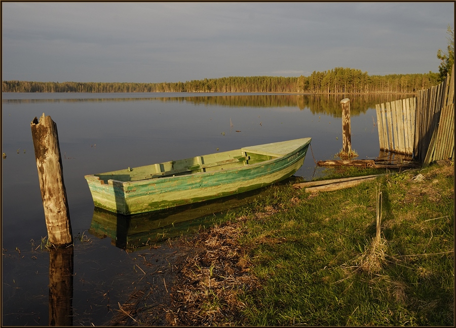 Фото жизнь