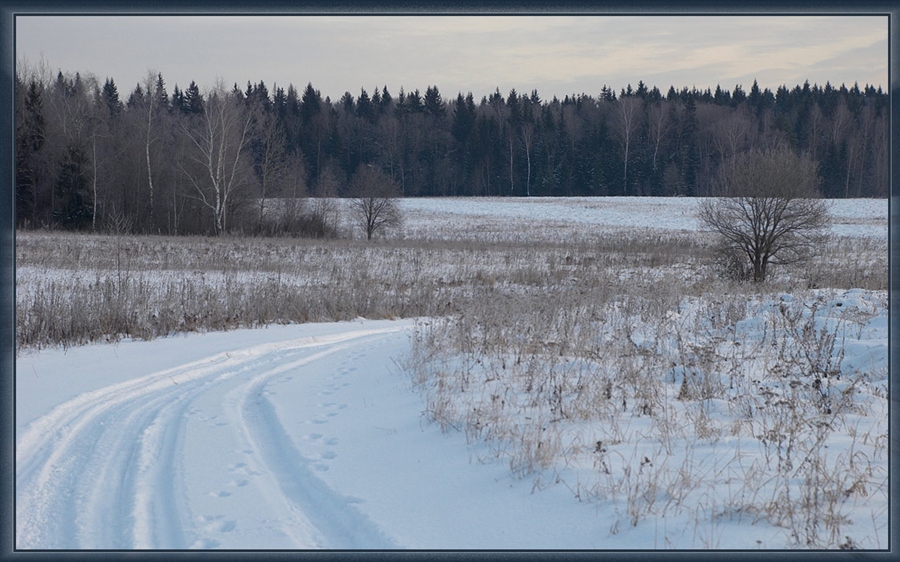 Фото жизнь
