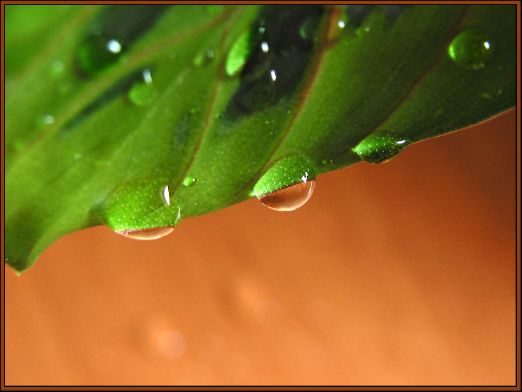 Фото жизнь (light) - Наташа Андреева - Всякие древности :) - На грани...