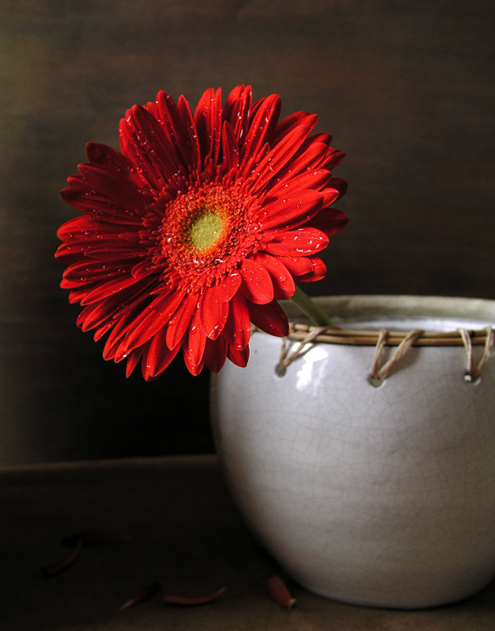 Фото жизнь (light) - Наташа Андреева - Всякие древности :) - Про горшок....