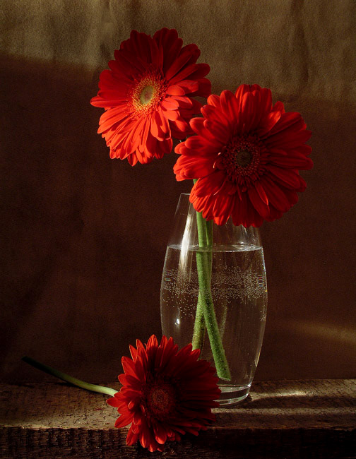 Фото жизнь (light) - Наташа Андреева - Всякие древности :) - ***...