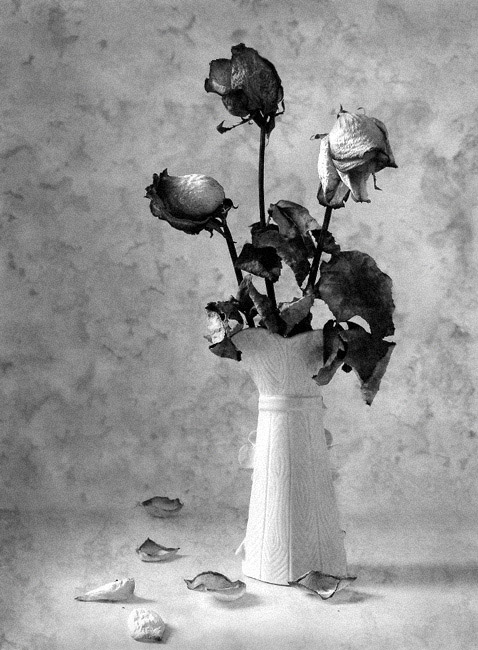 Фото жизнь (light) - Наташа Андреева - Всякие древности :) - Весна....