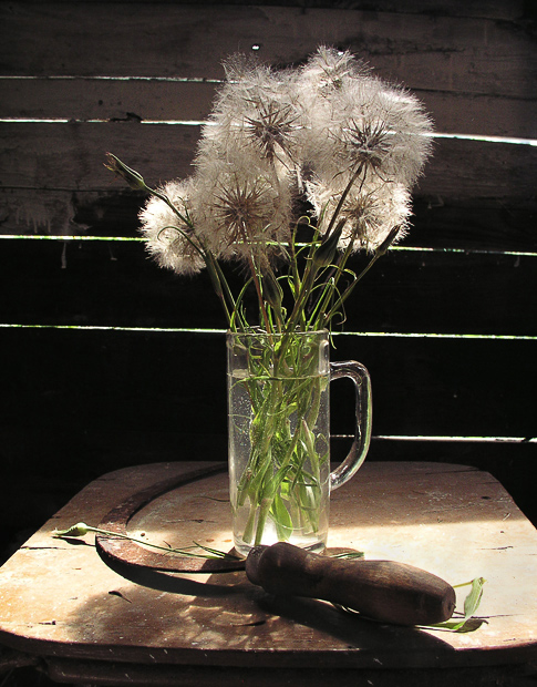 Фото жизнь (light) - Наташа Андреева - Всякие древности :) - ***...