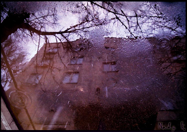Фото жизнь - Надежда Квитка - ПАПКА: РАБОТЫ, ПЕРЕНЕСЕННЫЕ С  PHOTOSIGHT.ru - Стою и мокну под дождем.. Последний кадр, а что на нем? А это вот и есть мой дом..