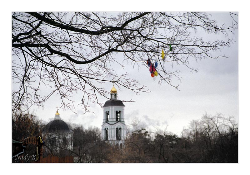 Фото жизнь (light) - Надежда Квитка - ПАПКА: РАБОТЫ, ПЕРЕНЕСЕННЫЕ С  PHOTOSIGHT.ru - А здесь лишь праздника вчерашнего следы....