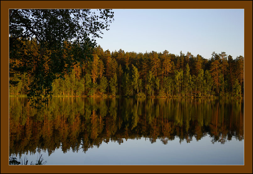 Фото жизнь
