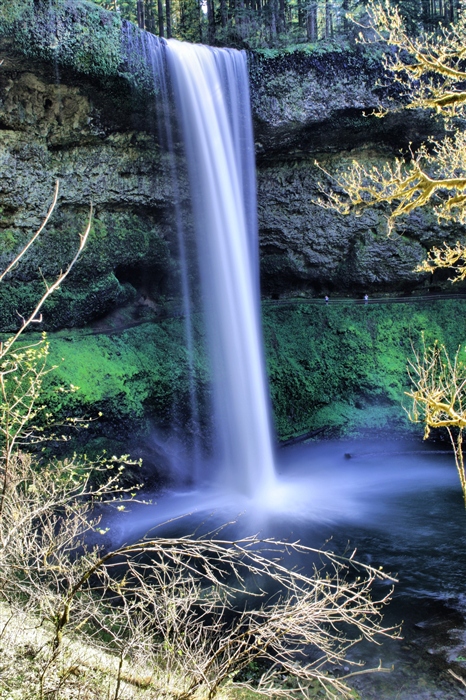 Silver Falls
