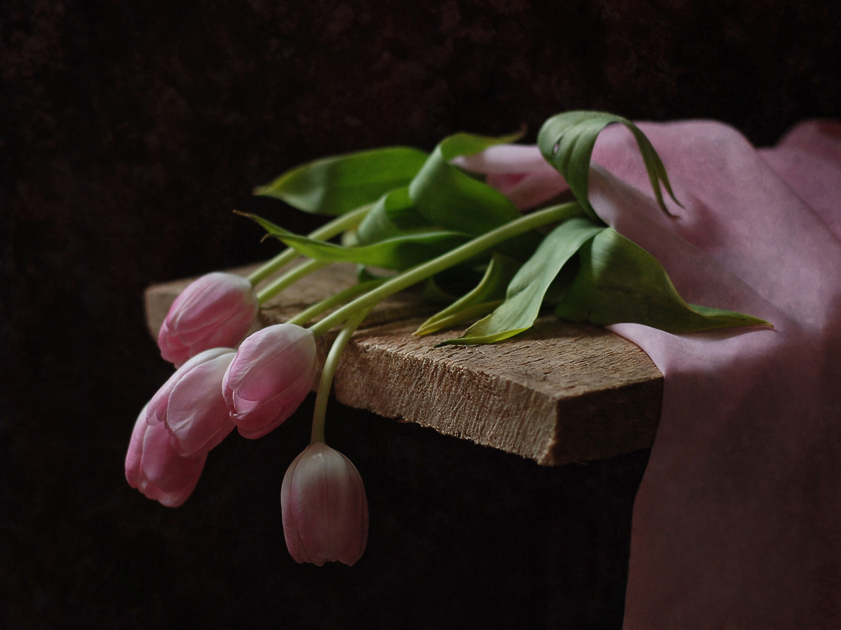 Фото жизнь (light) - Наташа Андреева - Натюрморт - Опять тюльпаны.