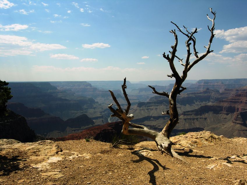 Фото жизнь (light) - OSA - С Фотосайта  - Ну очень Grand Canyon
