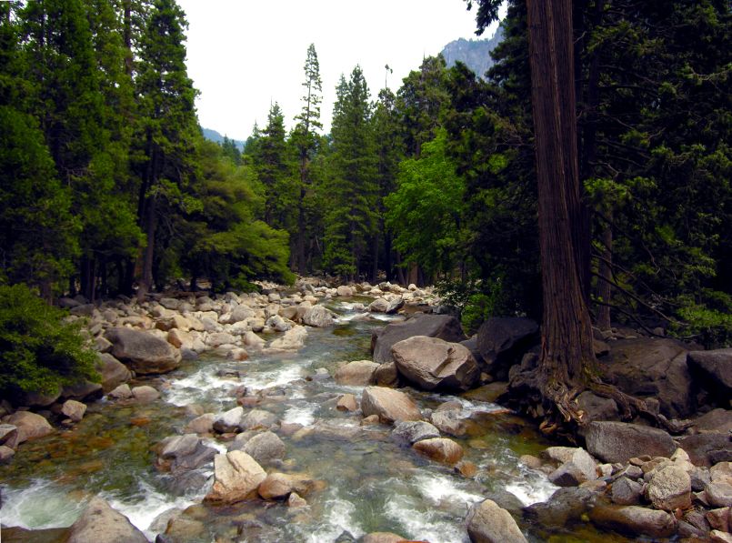 Фото жизнь (light) - OSA - С Фотосайта  - ***