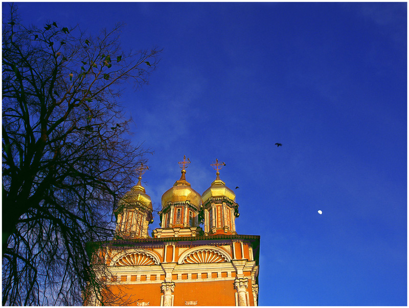 Фото жизнь
