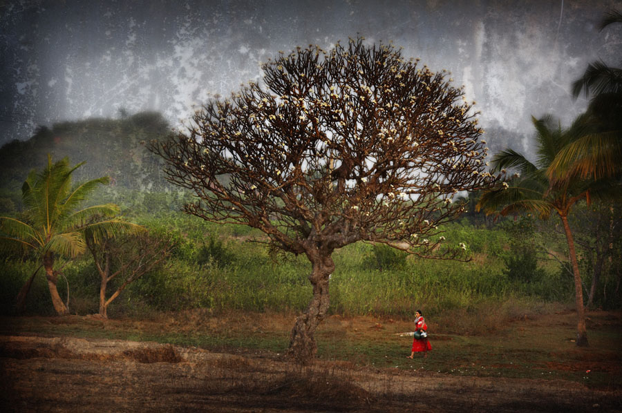 Фото жизнь - fotus - корневой каталог - зима в Гоа