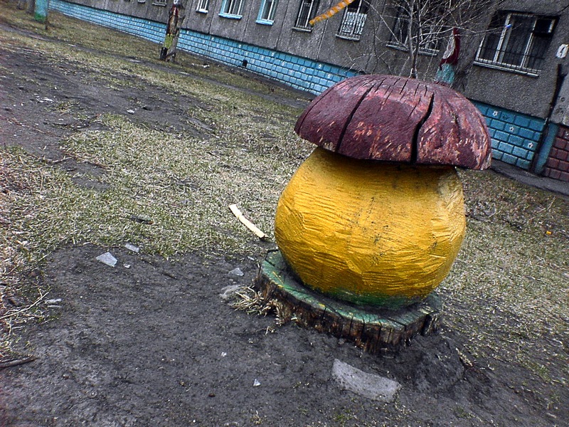 Фото жизнь (light) - Иван Мальцев - Мой город Омск - Гриб
