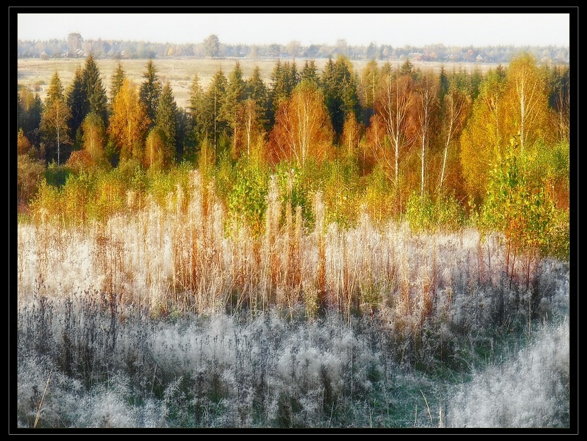Фото жизнь (light) - Павел - корневой каталог - В инеи