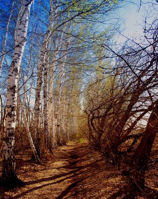 Фото жизнь