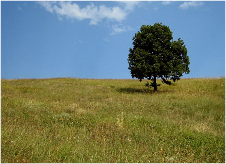 Фото жизнь (light) - Rei4al - корневой каталог - Одиночество...