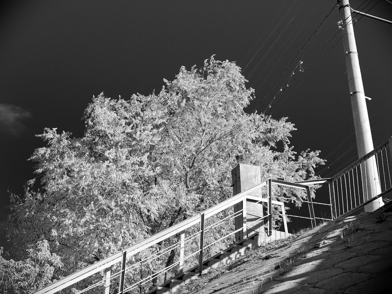 Фото жизнь - Icarus - корневой каталог - Лестница, мост, дерево, столб........
