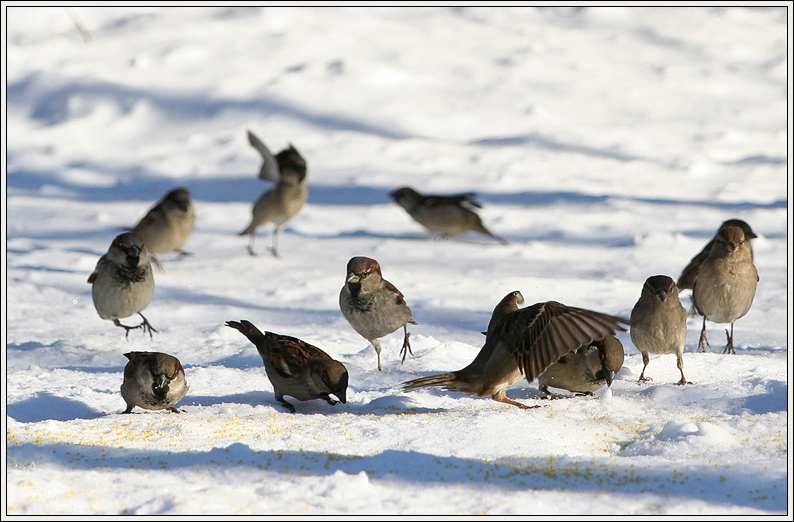 Фото жизнь (light) - Братаев Юра - корневой каталог - ... я прикрою!