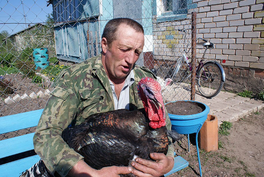 Фото жизнь (light) - Михаил Андриеску - Псковщина - Задушевный разговор