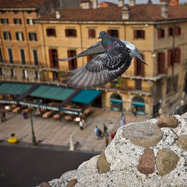 Фото жизнь (light) - lexiv - корневой каталог - город глазами птиц