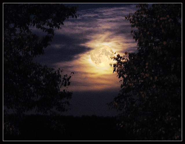 Фото жизнь (light) - andreanto - Восходы, закаты, Луна - Полнолуние