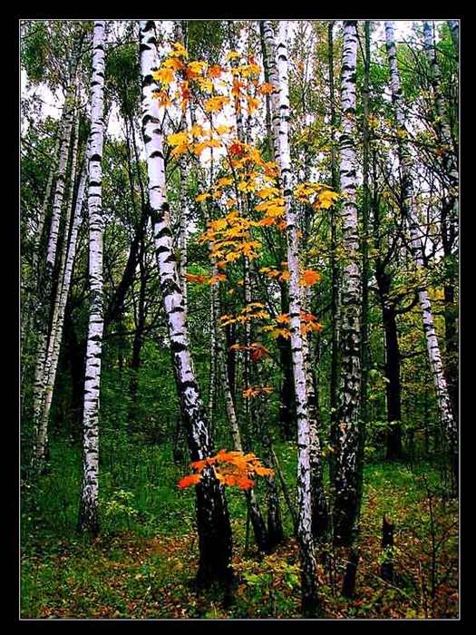 Фото жизнь