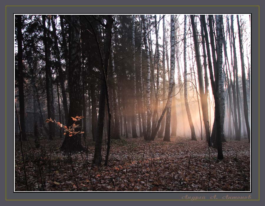 Фото жизнь (light) - andreanto - ТУМАНЫ - Утро туманное 2