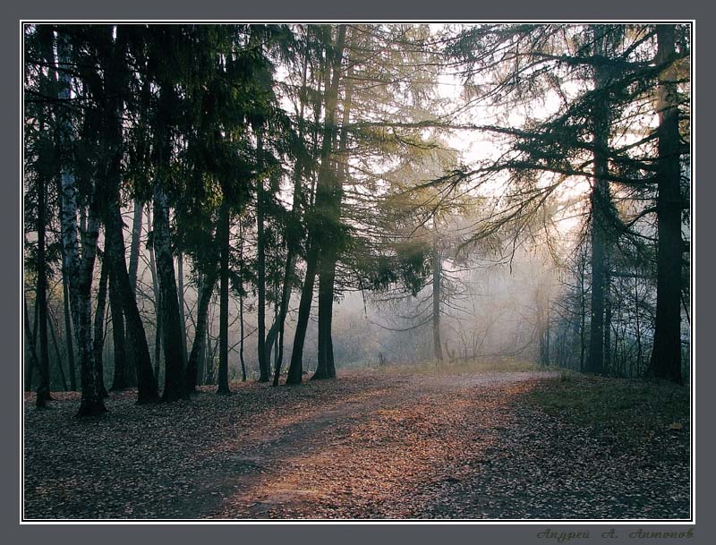 Фото жизнь (light) - andreanto - ТУМАНЫ - Утро туманное 5, дубль два