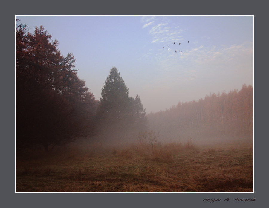 Фото жизнь (light) - andreanto - ТУМАНЫ - Утро туманное 6