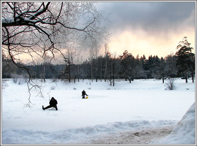 Фото жизнь (light) - andreanto - Природа, пейзаж - Зимний вечер