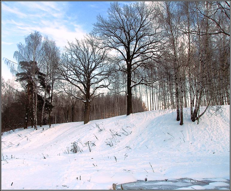 Фото жизнь - andreanto - Природа, пейзаж - Зима