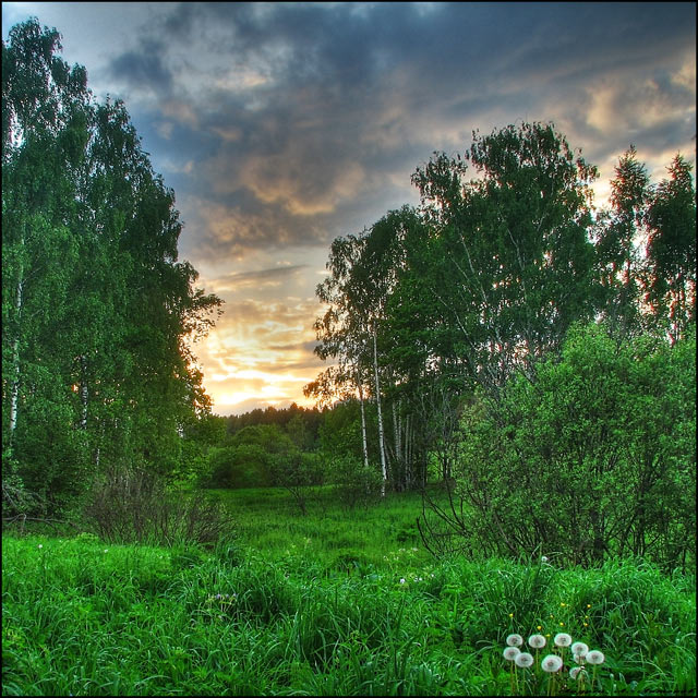 Фото жизнь