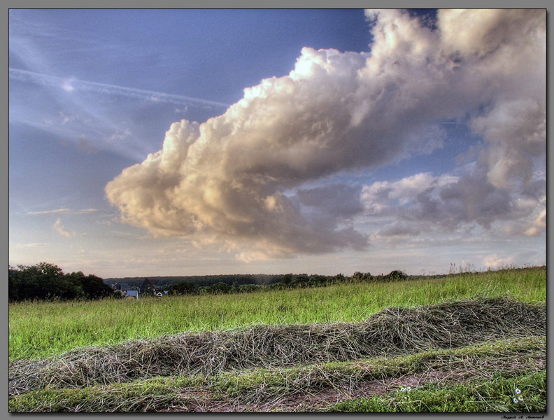 Фото жизнь (light) - andreanto - Природа, пейзаж - Поле, тропка, облака, куча сена по бокам...
