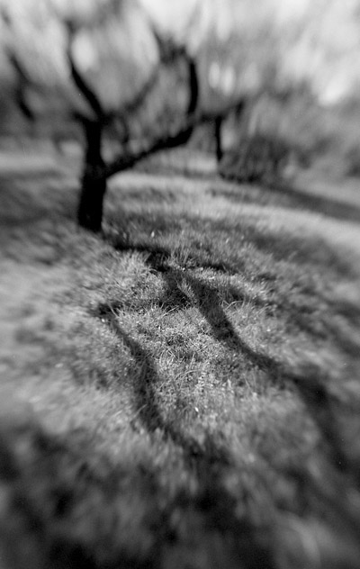 Фото жизнь (light) - Катерина Соболева - формы познания - молнии