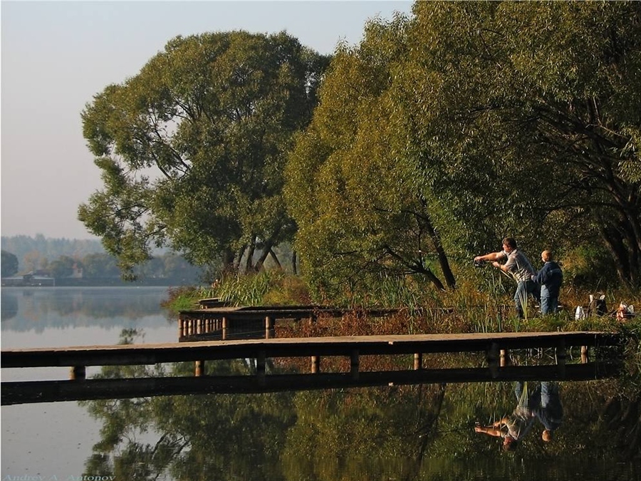 Фото жизнь