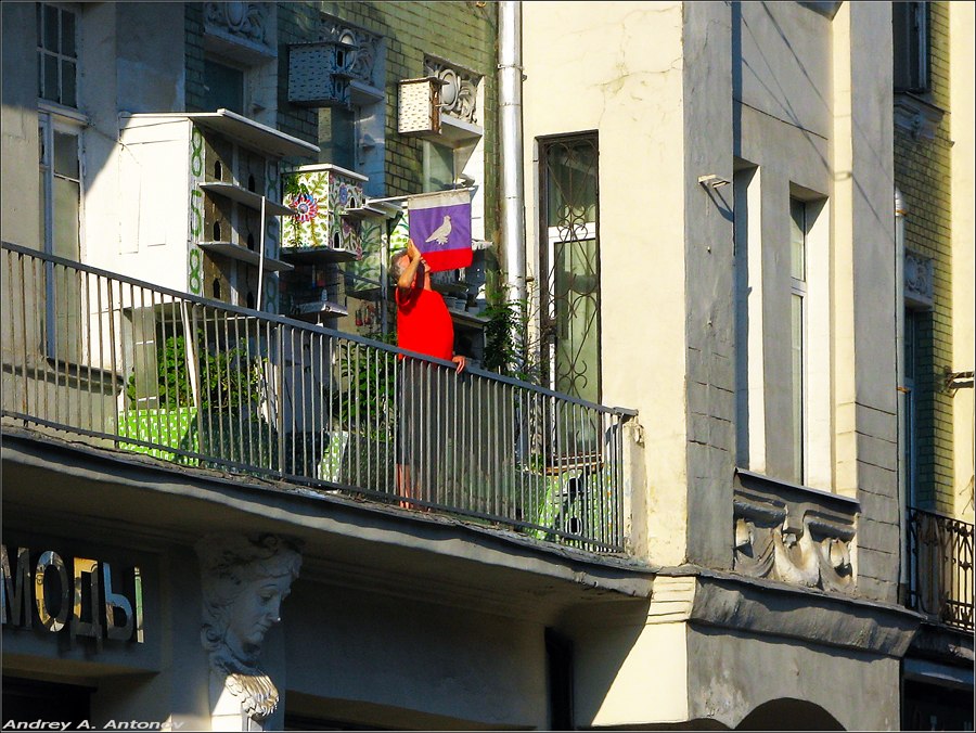 Фото жизнь (light) - andreanto -  Москва - Голубятня на балконе