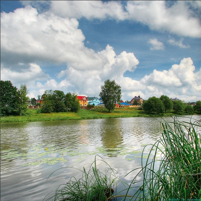 Фото жизнь