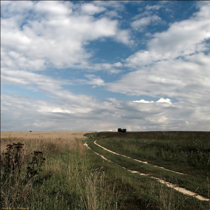 Фото жизнь