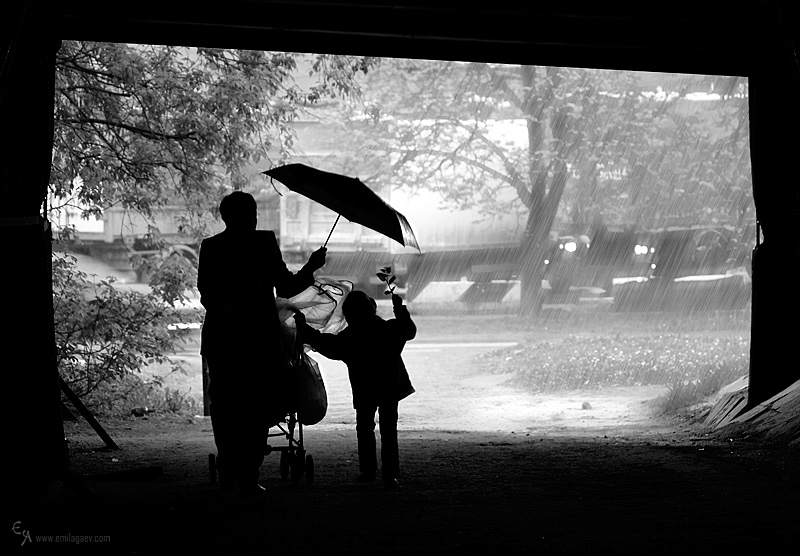Фото жизнь (light) - Emilphoto - корневой каталог - Жизнь прекрасна, когда дождь