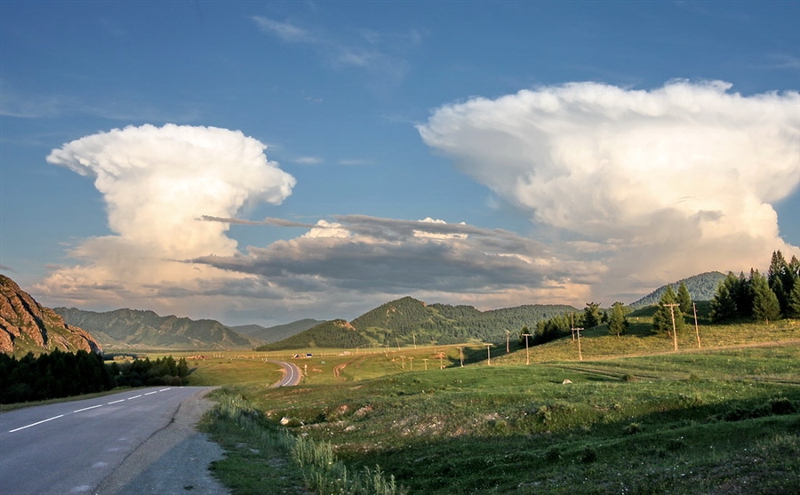 Фото жизнь