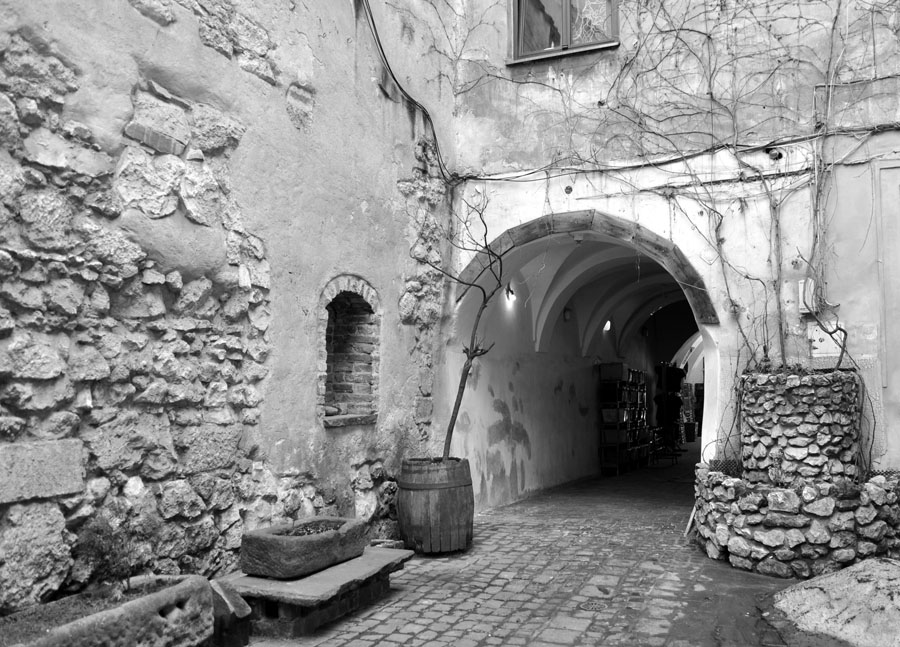 Фото жизнь (light) - Letala - корневой каталог - без времени