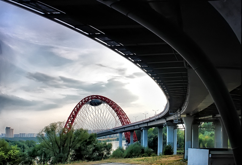 Фото жизнь