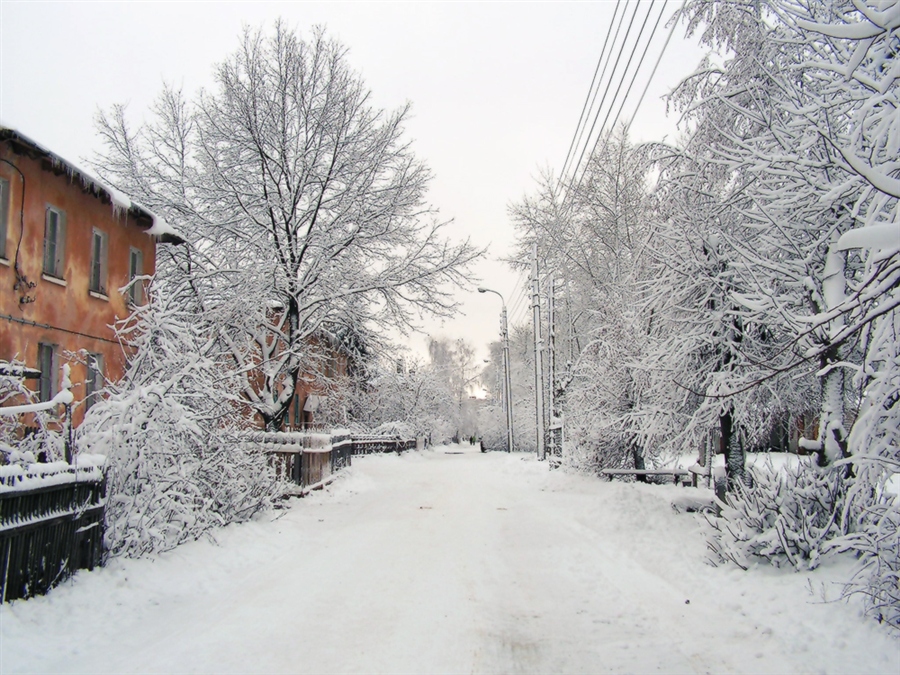 Фото жизнь