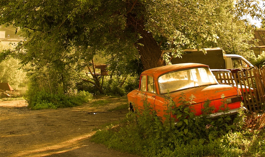 Фото жизнь