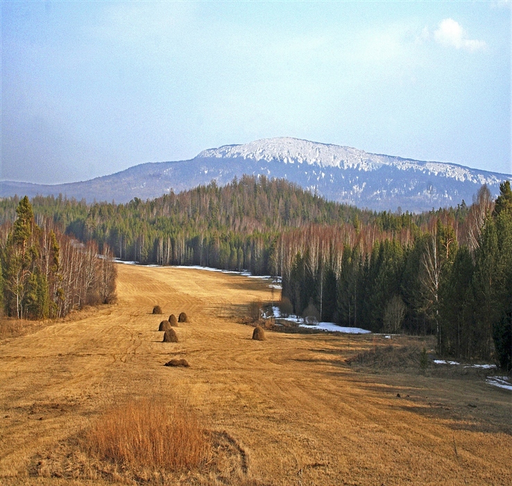 Фото жизнь